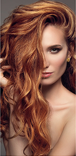 stylist gallery